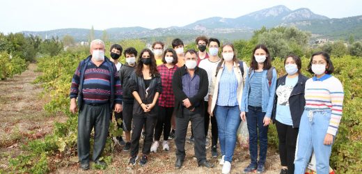 Buca’nın tarımı gençlere emanet