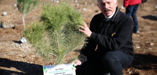 Bayrampaşa’daki Her Öğretmen İçin Bir Ağaç