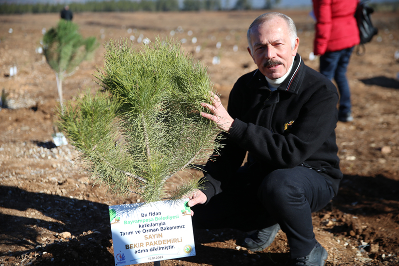 Bayrampaşa’daki Her Öğretmen İçin Bir Ağaç
