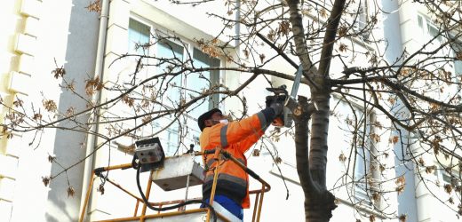 ESENYURT’TA GÜÇLÜ KADINLAR KOOPERATİFİ KURULMASI TEKLİFİ KABUL EDİLDİ