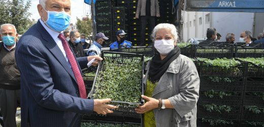 Adana’da 2 yılda 2 milyon 400 bin fide üreticiyle buluşturuldu