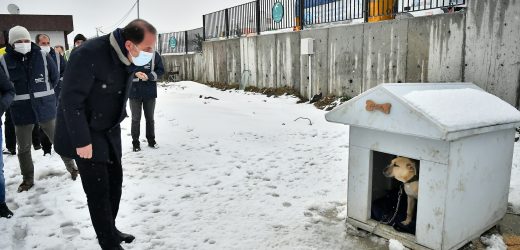 BEYLİKDÜZÜ BELEDİYESİ’NİN KARLA MÜCADELE ÇALIŞMALARI ARALIKSIZ DEVAM EDİYOR