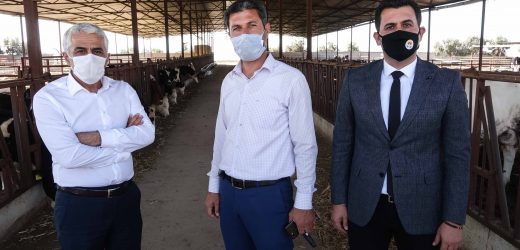 “Üç gün hastalığı hayvandan insana geçmiyor.”