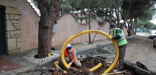 Kartal Belediyesi, Yarım Asırlık Ağaçlara ‘Nefes Borusu’ ile Can Veriyor
