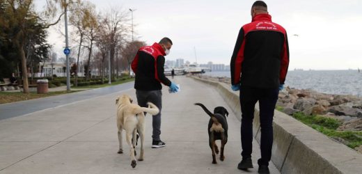 Kartal Belediyesi’nden Patili Dostlara Sıcak Yuva