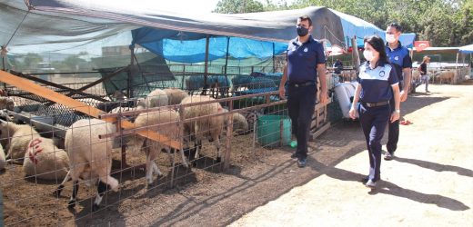 Menderes’te Kurban Satış Yerleri Hazır
