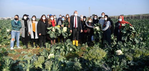 Kadınlar için yapılan çalışmalara BM’den övgü
