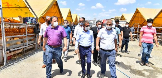 BEYLİKDÜZÜ MODERN KURBAN SATIŞ VE KESİM ALANI TAM NOT ALDI