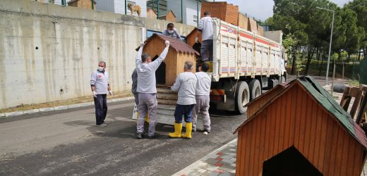 Adana’da Sokak hayvanları için modern barınak faaliyete geçiyor