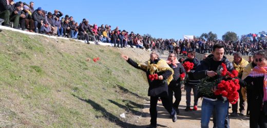 Edremit Deve Güreşleri Festivali Yapıldı