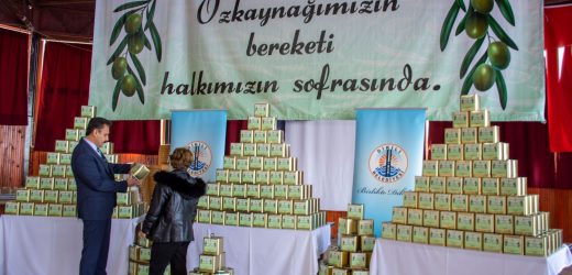 Dikili Belediyesi öz kaynağı zeytinine sahip çıktı