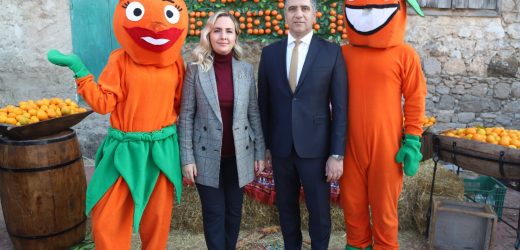 Menderes Mandalina Festivali’ne Büyük İlgi