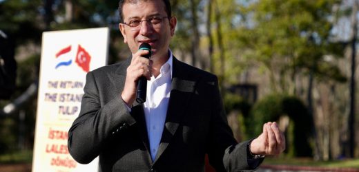 İmamoğlu; İstanbul Lalesi anavatanına döndü