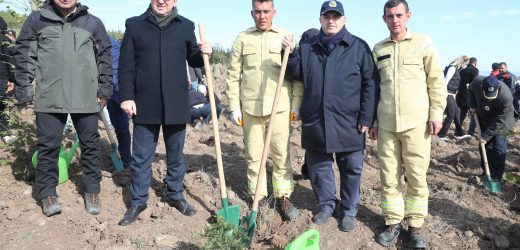 DOĞRUER’DEN ORMAN TEŞKİLATINA TEŞEKKÜRLER