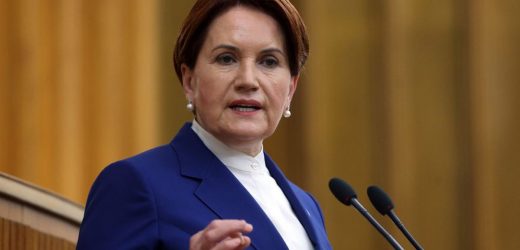 İYİ Parti Lideri Akşener: “Şehide kelle diyenler bize ahkâm kesemez”