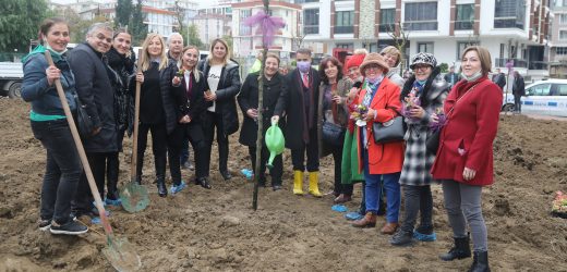 Yaşamdan koparılan kadınlar Atakum’da erguvanlarda yaşayacak 