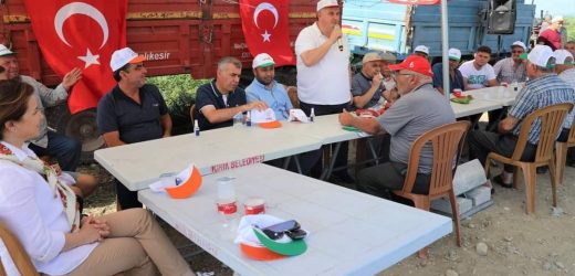 KINIK DOMATESİ MARKA OLUYOR