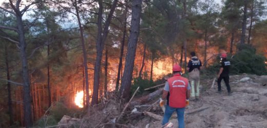 Belediye Ekiplerinin Orman Yangınları İle Mücadelesi Sürüyor