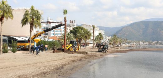 SAHİLİ PALMİYELER KAPLAYACAK