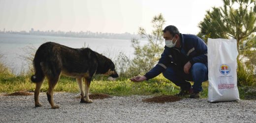 Zeydan Karalar’ın sosyal belediyecilik kararlılığı