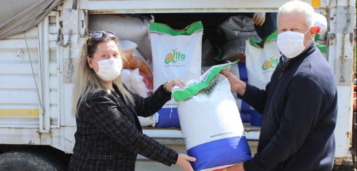 ÇANAKKALE ZİRAAT ODASI TOHUM DAĞITIMINA BAŞLADI