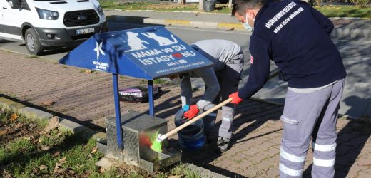 KÜÇÜKÇEKMECE BELEDİYESİ, YASAKLARDA SOKAKTAKİ CAN DOSTLARI UNUTMUYOR