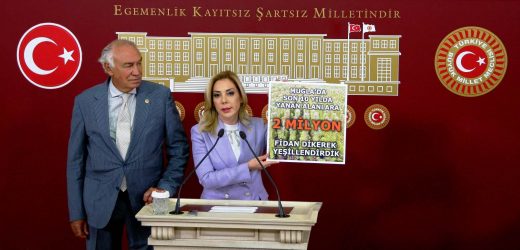 Muğla AK Parti Milletvekili Yelda Erol Gökcan, TBMM’de   “Akıllı Yangın” söylemlerine cevap verdi.