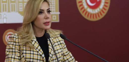 MİLLETVEKİLİ GÖKCAN’DAN STOKÇULUĞA KARŞI KANUN TEKLİFİ…