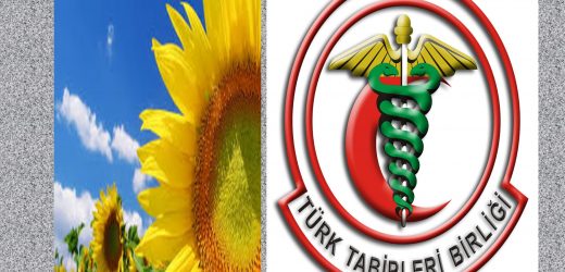 HİÇBİR YERE GİTMEYECEĞİZ! BU ÜLKEYİ DE YENİDEN ŞİMİŞKALARLA SÜSLEYECEĞİZ…