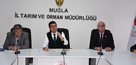 Muğla’da Sivil Toplum Kuruluşları El Ele!