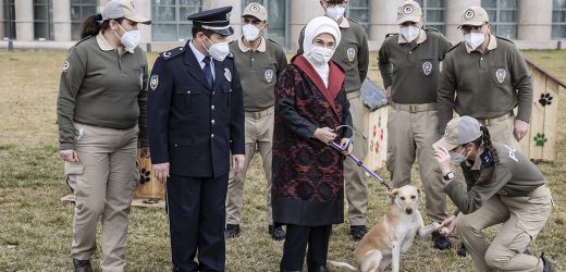 Beştepe Külliye’deki Atıklar Geri Dönüştürülerek Sokak Hayvanlarına ‘Yuva’ Oldu