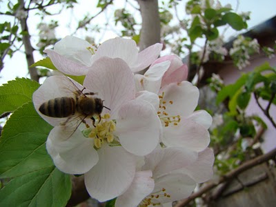 “KÜLTÜR DEVRİMİ”