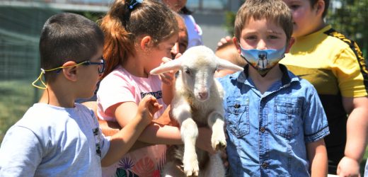 ÖZEL ÇOCUKLARDAN HAYVAN DOSTLARINA ZİYARET