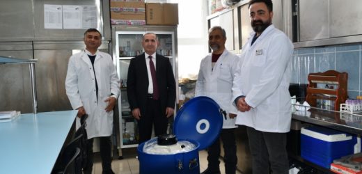 Kars Kafkas Üniversitesi ve Türkiye’de İlk Kez Beefmaster Donmuş Sığır Embriyoları