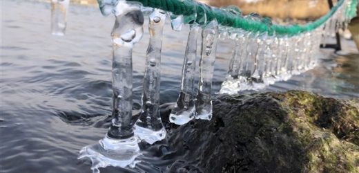 Çıldır Gölü buz tutmaya başladı