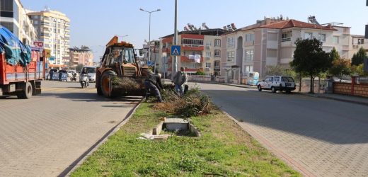 Nazilli çiçek gibi oluyor