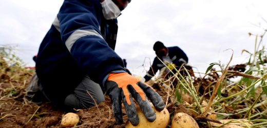 ANKARA’’NIN KIRSAL KALKINMA HAMLESİ SÜRÜYOR