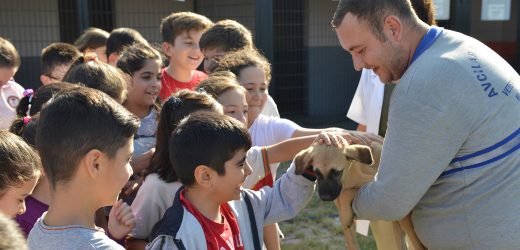 Avcılar’da hayvanları koruma günü miniklerle kutlandı