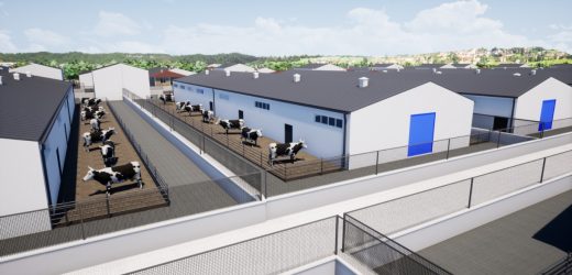 Ağrı’da Ahırların şehir dışına çıkarılacağı proje hayata geçiriliyor