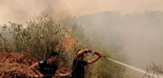 BAŞKAN ARAS, CARESİZ “BODRUM YANIYOR… CANIMIZ KALBİMİZ ACIYOR”