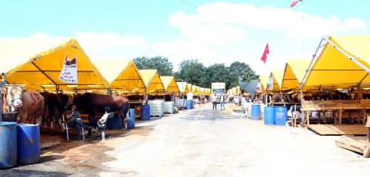 KÜÇÜKÇEKMECE BELEDİYESİ,  KURBAN PAZARI’NDA ‘14 KURAL’ A DİKKAT ÇEKTİ