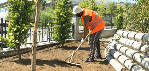 PARK VE YEŞİL ALANLARDA BAKIM ÇALIŞMALARI SÜRÜYOR