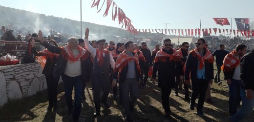 Yatağan Deve Güreşi Festivali, 16 Ocak’ta