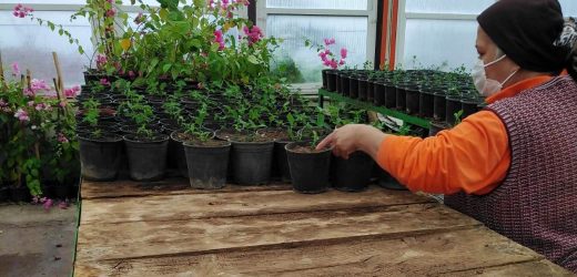 MARMARİS’TE TASARRUFLU GÜZELLİK