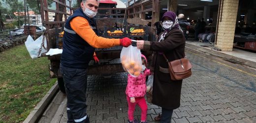 MARMARİS’TE ‘TURUNCU’ ŞENLİK AĞAÇLAR ASLA ZARAR GÖRMEYECEK