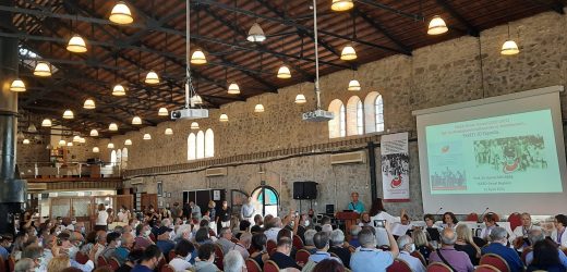 BAKMAK VE GÖRMEK…