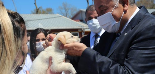 VETERİNER HEKİMLER UNUTULMADI