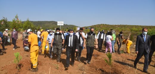 15 Temmuz Demokrasi Şehitlerimizin Anısına Fidan Dikildi