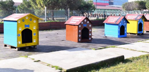 GERİ DÖNÜŞÜMDEN SOKAT HAYVANLARINA YUVA