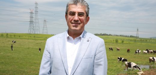 HALK SÜT’ÜN SÜT KAYNAĞI SİLİVRİ VE ÇATALCALI ÜRETİCİ OLACAK